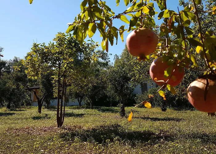 Village Fico D'india *