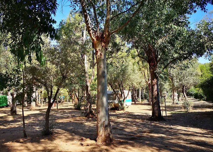 Village Fico D'india