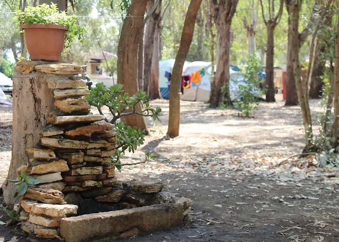 אתר קמפינג Village Fico D'india