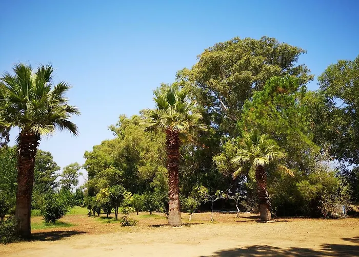 אתר קמפינג Village Fico D'india Ovile la Marina